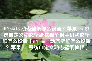 iPhone13 动态壁纸怎么设置？苹果 ios 系统自定义动态壁纸教程苹果手机动态壁纸怎么设置「iPhone13 动态壁纸怎么设置？苹果 ios 系统自定义动态壁纸教程」