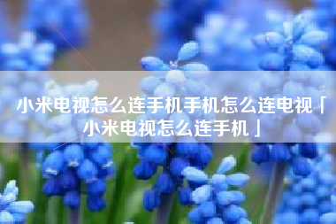 小米电视怎么连手机手机怎么连电视「小米电视怎么连手机」