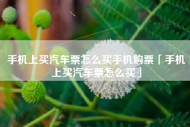 手机上买汽车票怎么买手机购票「手机上买汽车票怎么买」