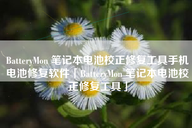 BatteryMon 笔记本电池校正修复工具手机电池修复软件「BatteryMon 笔记本电池校正修复工具」