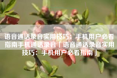 语音通话录音实用技巧：手机用户必看指南手机通话录音「语音通话录音实用技巧：手机用户必看指南」
