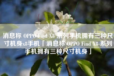消息称 OPPO Find X8 系列手机拥有三种尺寸机身x8手机「消息称 OPPO Find X8 系列手机拥有三种尺寸机身」