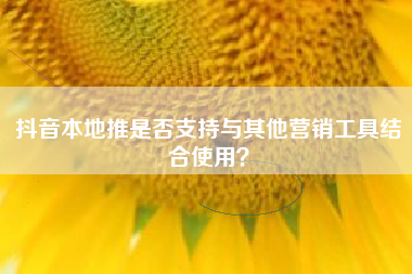 抖音本地推是否支持与其他营销工具结合使用？