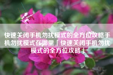 快速关闭手机勿扰模式的全方位攻略手机勿扰模式在哪里「快速关闭手机勿扰模式的全方位攻略」