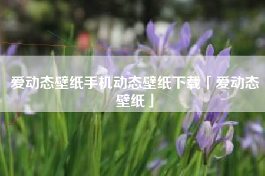 爱动态壁纸手机动态壁纸下载「爱动态壁纸」