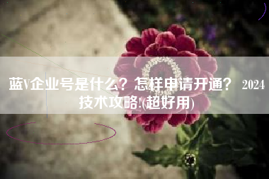 蓝V企业号是什么？怎样申请开通？ 2024技术攻略!(超好用)