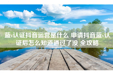 蓝v认证抖音运营是什么 申请抖音蓝v认证后怎么知道通过了没 全攻略