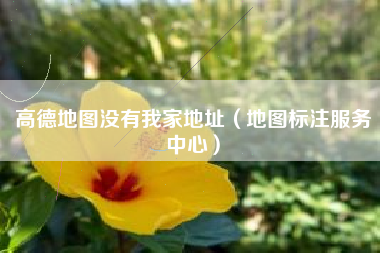 高德地图没有我家地址（地图标注服务中心）