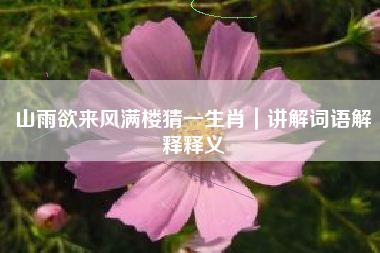 山雨欲来风满楼猜一生肖｜讲解词语解释释义
