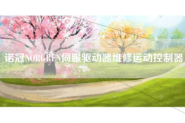 诺冠NORGREN伺服驱动器维修运动控制器 诺冠NORGREN伺服驱动器维修运动控制器