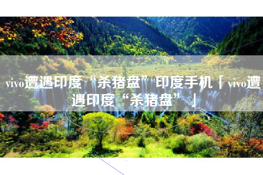 vivo遭遇印度“杀猪盘”印度手机「vivo遭遇印度“杀猪盘”」