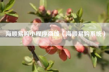 海顺易购小程序商城（海顺易购系统）