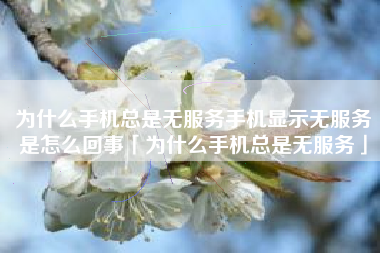 为什么手机总是无服务手机显示无服务是怎么回事「为什么手机总是无服务」