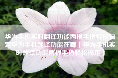 华为手机实时翻译功能两根手指轻松搞定华为手机翻译功能在哪「华为手机实时翻译功能两根手指轻松搞定」