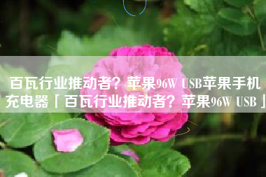 百瓦行业推动者？苹果96W USB苹果手机充电器「百瓦行业推动者？苹果96W USB」