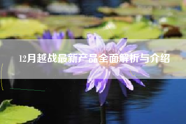 12月越战最新产品全面解析与介绍