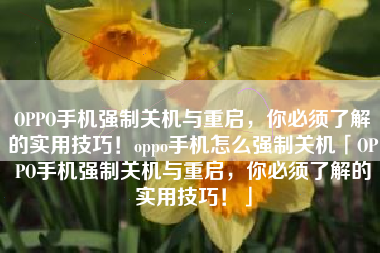 OPPO手机强制关机与重启，你必须了解的实用技巧！oppo手机怎么强制关机「OPPO手机强制关机与重启，你必须了解的实用技巧！」
