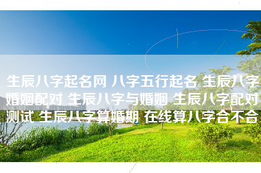 生辰八字起名网 八字五行起名 生辰八字婚姻配对 生辰八字与婚姻 生辰八字配对测试 生辰八字算婚期 在线算八字合不合