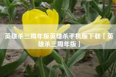 英雄杀三周年版英雄杀手机版下载「英雄杀三周年版」