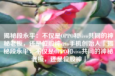 揭秘段永平：不仅是OPPO和vivo共同的神秘老板，还是位股神vivo手机创始人「揭秘段永平：不仅是OPPO和vivo共同的神秘老板，还是位股神」