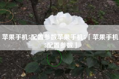 苹果手机5配置参数苹果手机5「苹果手机5配置参数」