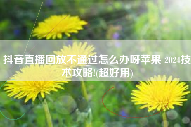 抖音直播回放不通过怎么办呀苹果 2024技术攻略!(超好用)