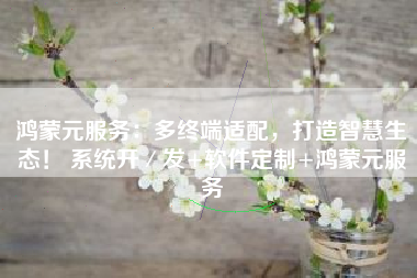 鸿蒙元服务：多终端适配，打造智慧生态！ 系统开／发+软件定制+鸿蒙元服务
