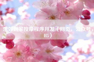 东郊到家按摩程序开发（网页，公众号，H5）