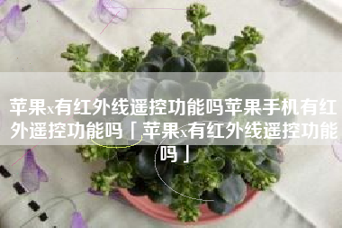 苹果x有红外线遥控功能吗苹果手机有红外遥控功能吗「苹果x有红外线遥控功能吗」