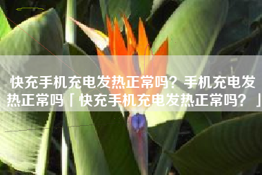快充手机充电发热正常吗？手机充电发热正常吗「快充手机充电发热正常吗？」