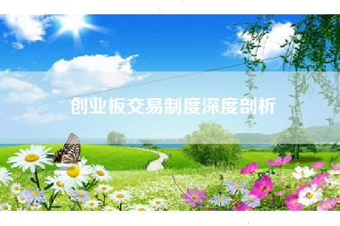 创业板交易制度深度剖析