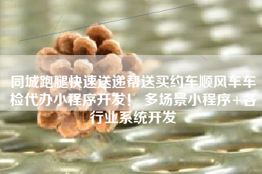同城跑腿快速送递帮送买约车顺风车车检代办小程序开发！ 多场景小程序+各行业系统开发