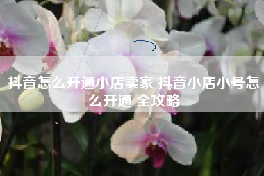 抖音怎么开通小店卖家 抖音小店小号怎么开通 全攻略