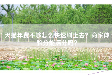 天猫年费不够怎么快速刷上去？商家体验分能满分吗？