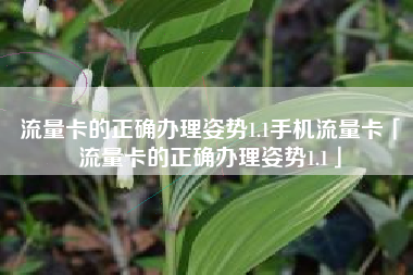 流量卡的正确办理姿势1.1手机流量卡「流量卡的正确办理姿势1.1」