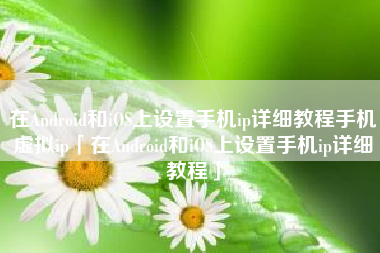 在Android和iOS上设置手机ip详细教程手机虚拟ip「在Android和iOS上设置手机ip详细教程」
