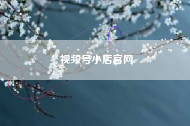 视频号小店官网