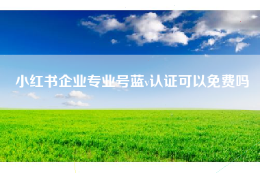 小红书企业专业号蓝v认证可以免费吗