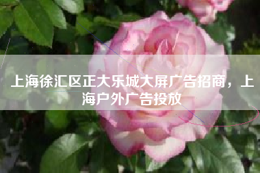 上海徐汇区正大乐城大屏广告招商，上海户外广告投放
