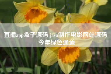 直播app盒子源码 java制作电影网站源码 今年绿色通道