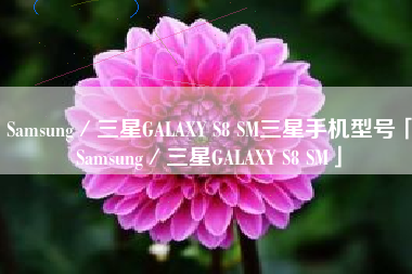 Samsung／三星GALAXY S8 SM三星手机型号「Samsung／三星GALAXY S8 SM」