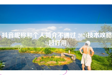 抖音昵称和个人简介不通过 2024技术攻略!(超好用)