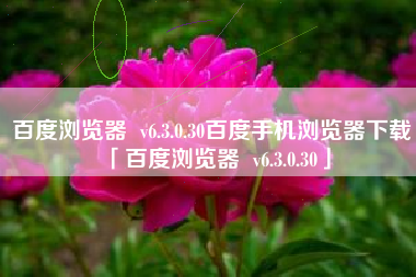 百度浏览器  v6.3.0.30百度手机浏览器下载「百度浏览器  v6.3.0.30」