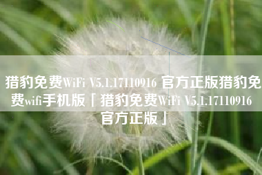 猎豹免费WiFi V5.1.17110916 官方正版猎豹免费wifi手机版「猎豹免费WiFi V5.1.17110916 官方正版」