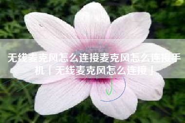 无线麦克风怎么连接麦克风怎么连接手机「无线麦克风怎么连接」