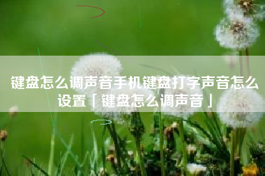 键盘怎么调声音手机键盘打字声音怎么设置「键盘怎么调声音」
