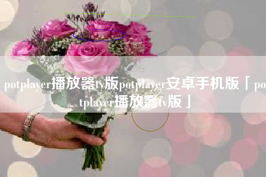 potplayer播放器tv版potplayer安卓手机版「potplayer播放器tv版」