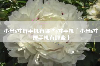 小米6寸屏手机有哪些6寸手机「小米6寸屏手机有哪些」
