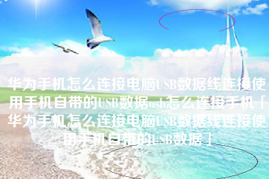 华为手机怎么连接电脑USB数据线连接使用手机自带的USB数据usb怎么连接手机「华为手机怎么连接电脑USB数据线连接使用手机自带的USB数据」