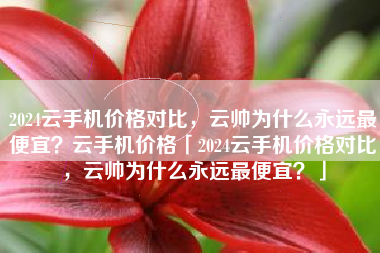 2024云手机价格对比，云帅为什么永远最便宜？云手机价格「2024云手机价格对比，云帅为什么永远最便宜？」